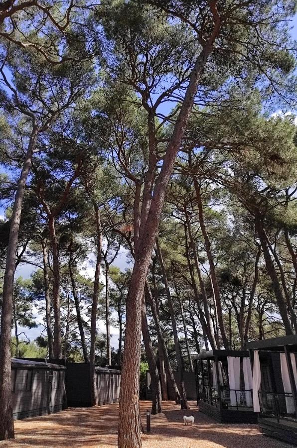 Mobile Home More Porton Nature Hideouts Rovinj Eksteriør bilde